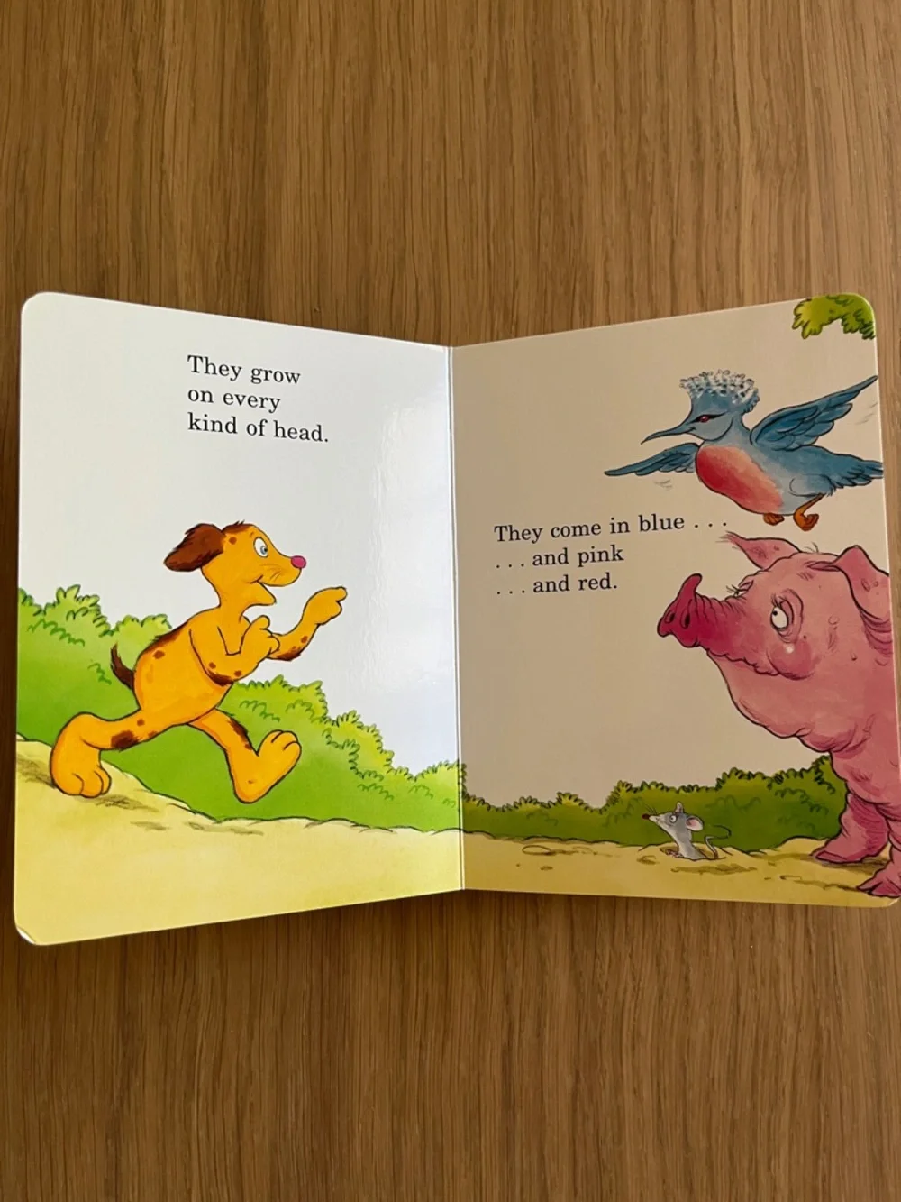 Dr. Seuss’s, Set of 3 bright and early board  books for little kids